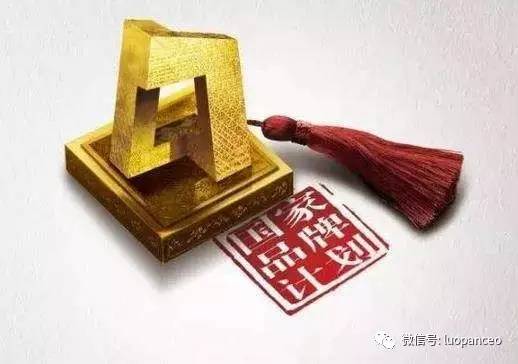 除了年度目标及增长计划外,CEO还有哪些更重要的事情!(图1) 国家品牌计划